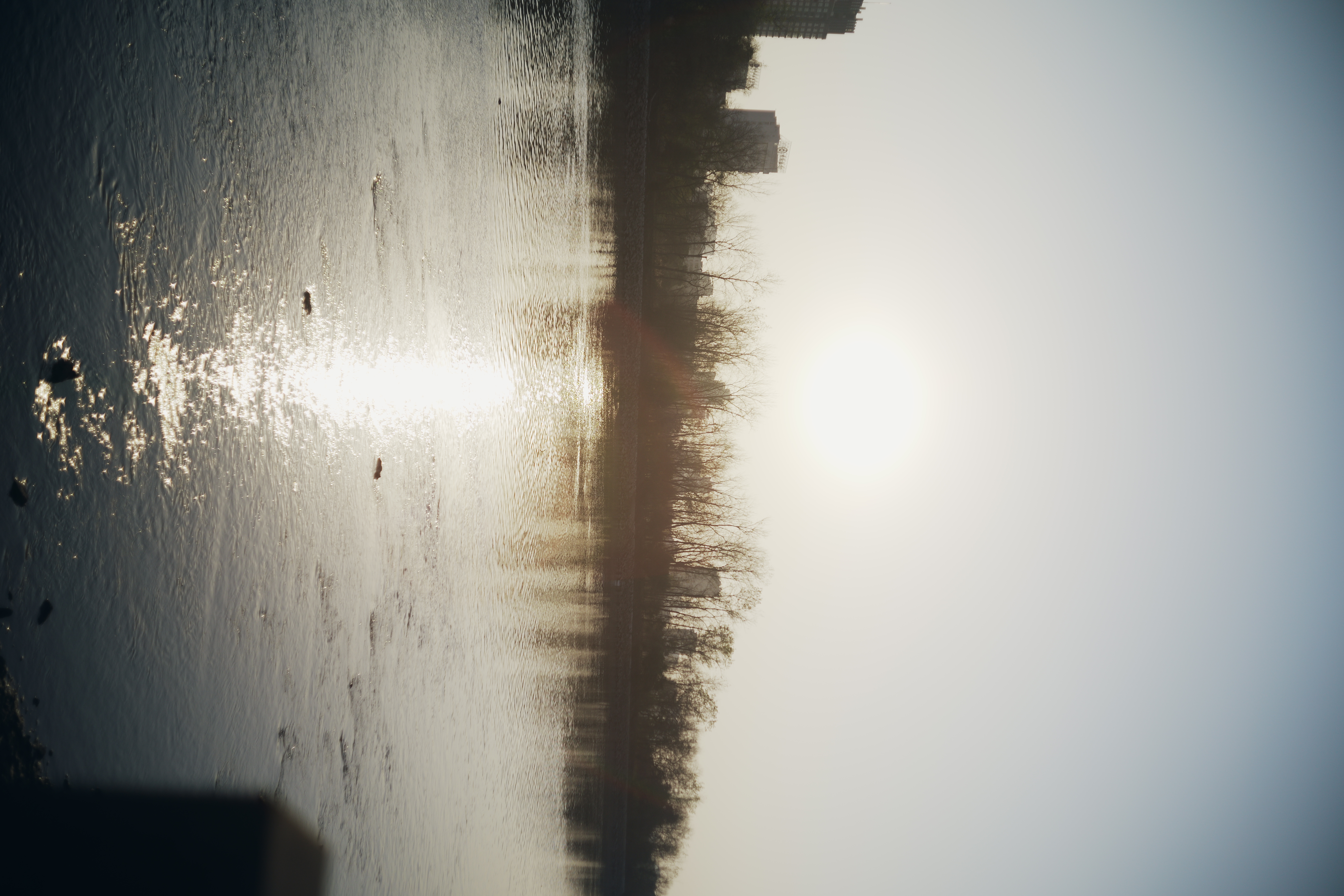 Featured image of post 近况汇报（26.1.19）