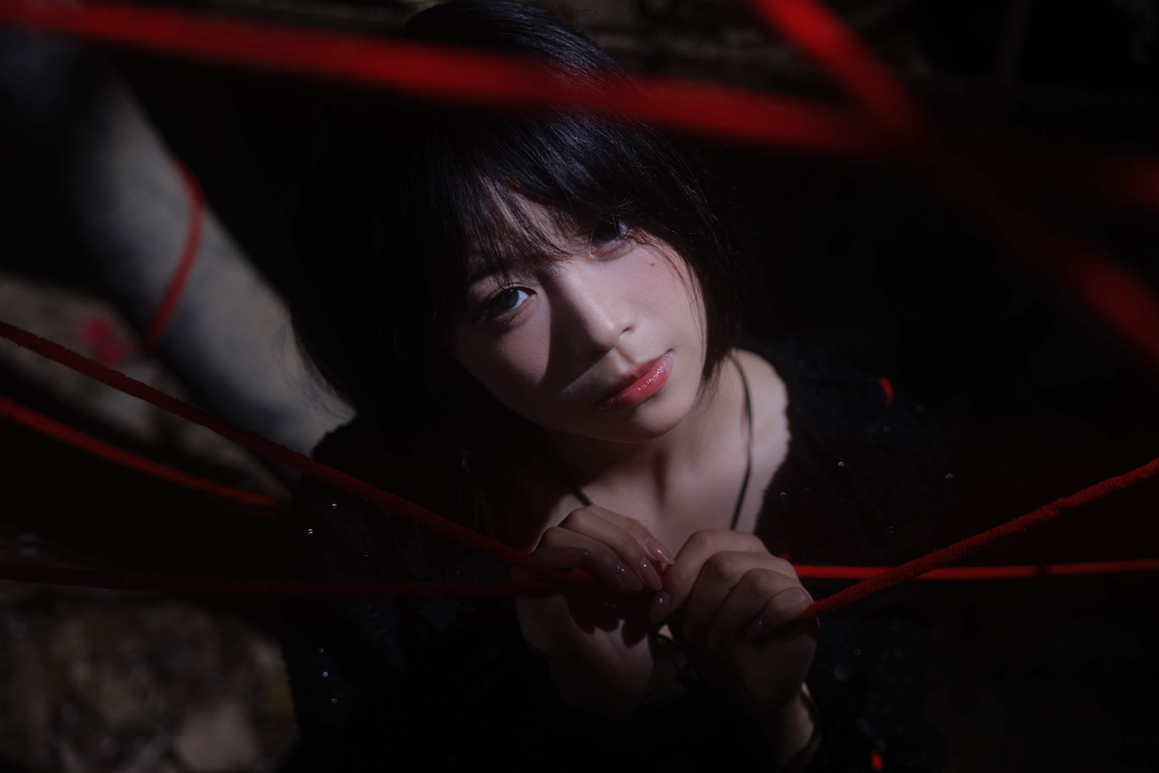 Featured image of post 蝶