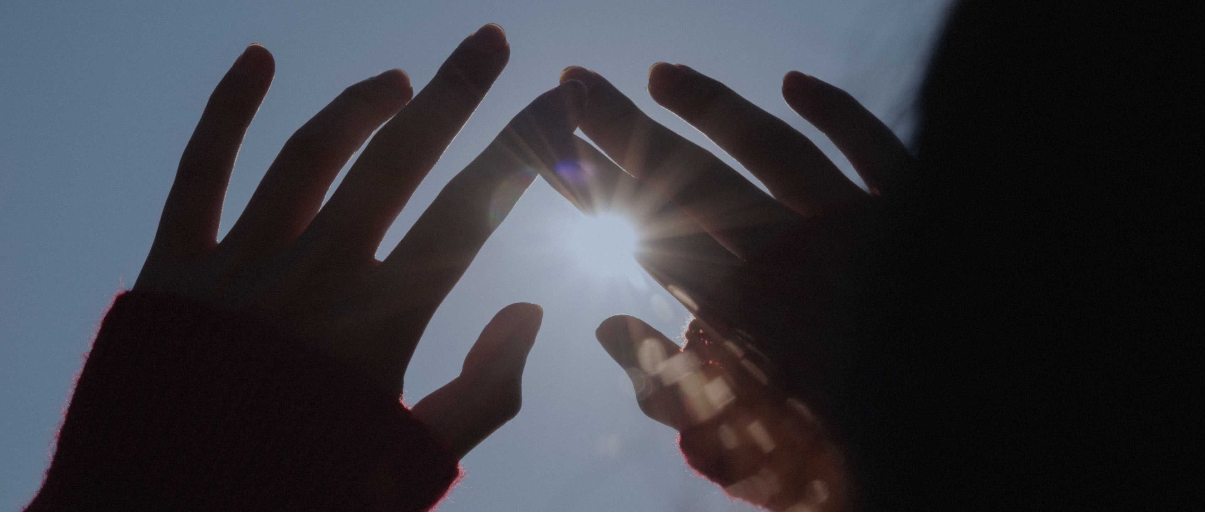 Featured image of post 故事开始后，你也不知道会走向哪里：infj的摄影成人式