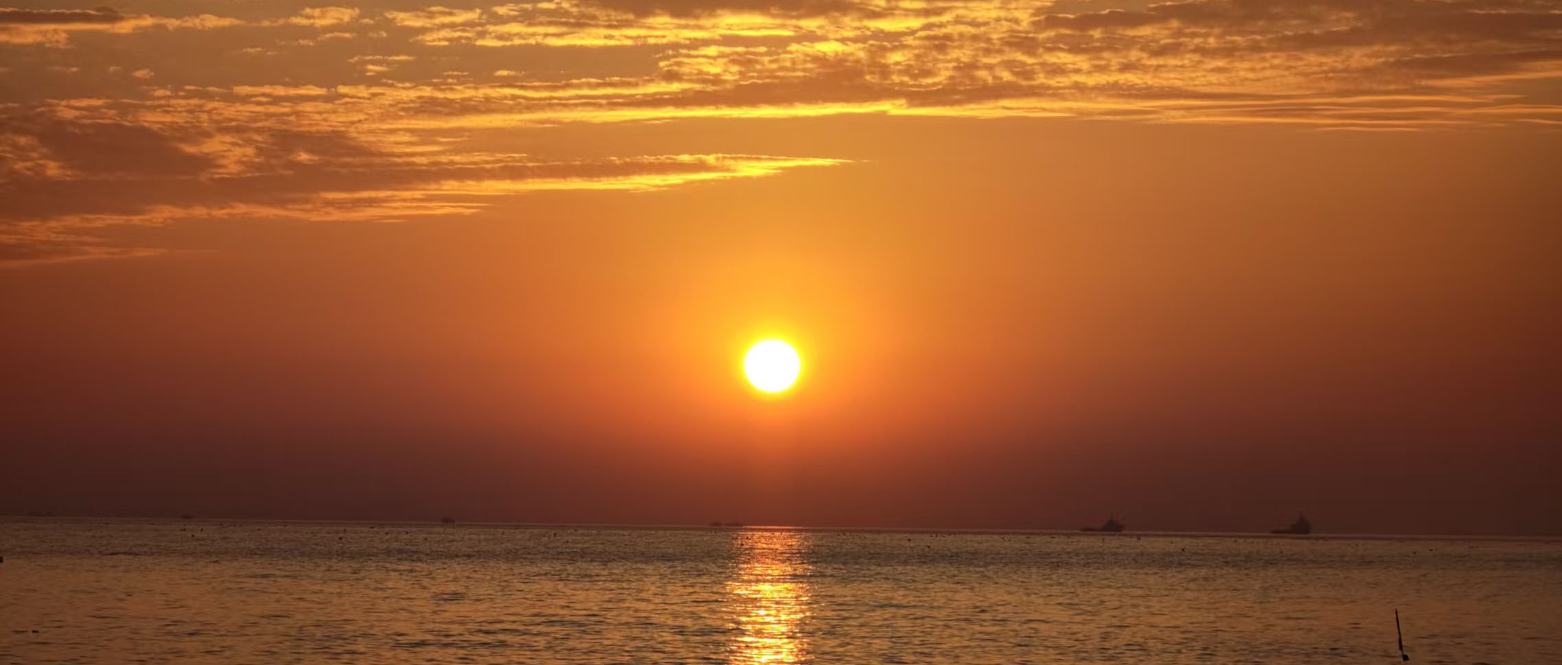 Featured image of post 从npc到主人翁，朋友就是最好的解药：蚊香猫猫船首航记